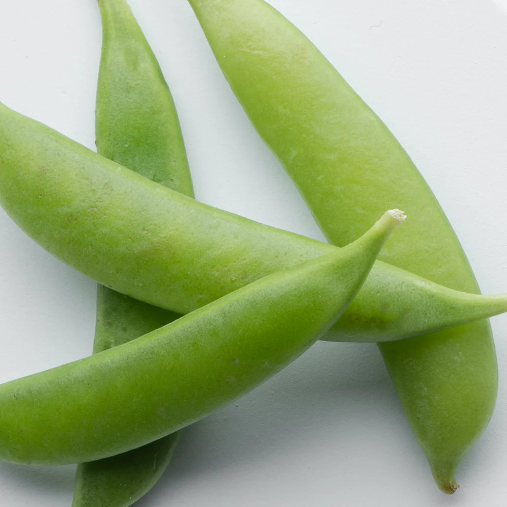 Organic Pea Protein