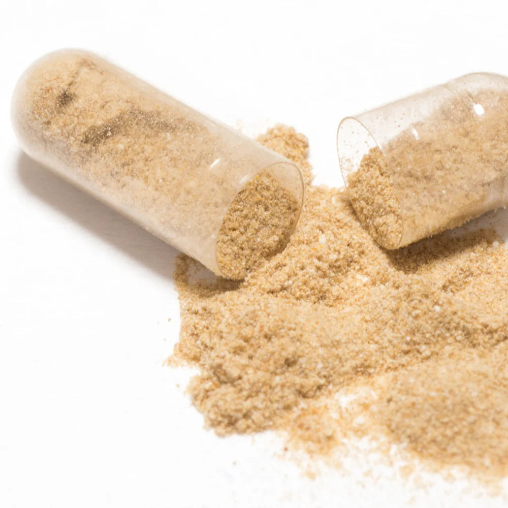 Probiotic Blend